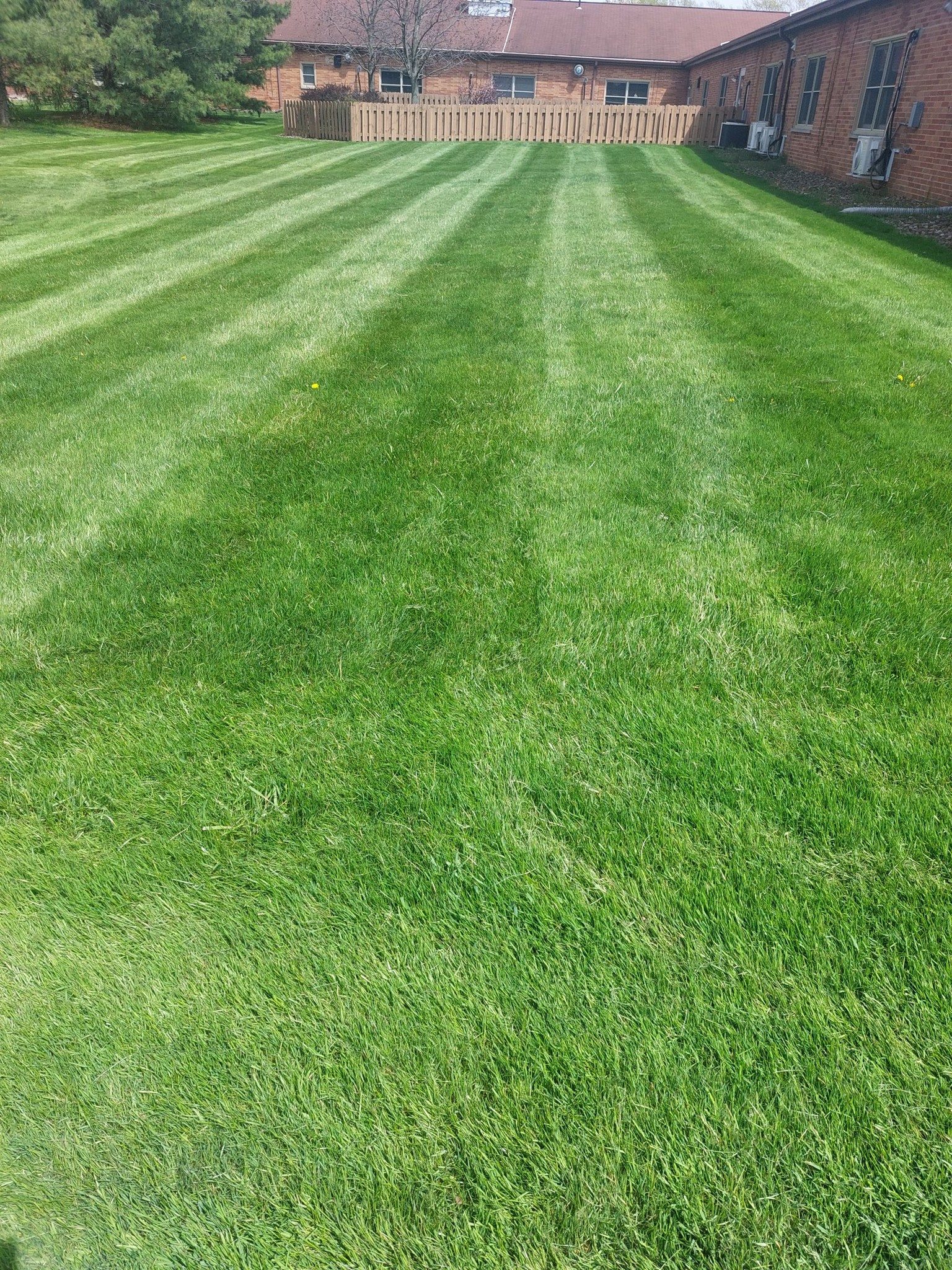 a fresh cut lawn